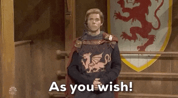 As You Wish Mikey Day GIF by Saturday Night Live