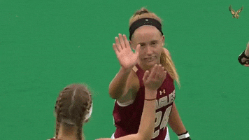High Five Ncaa GIF by Boston College Athletics