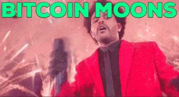 To The Moon GIF by Bitcoin & Crypto Creative Marketing