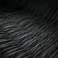 metal mesmerizing GIF by xponentialdesign