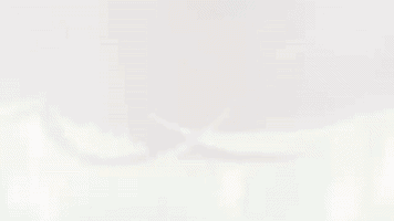 Shingeki No Kyojin GIF