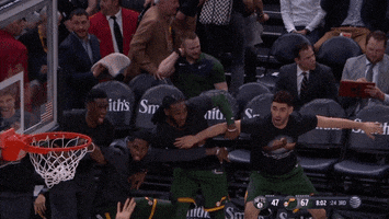 georges niang bench reaction GIF by Utah Jazz