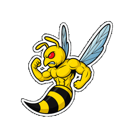 Triathlon Sticker by Tri Team 1.USC Traun