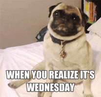 Wednesday Morning Reaction GIF by Marie Claire