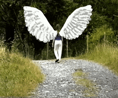 200.gif?cid=fc005b086385953a6f44f39a695880e4e1250391bca20412&rid=200.gif&ct=g