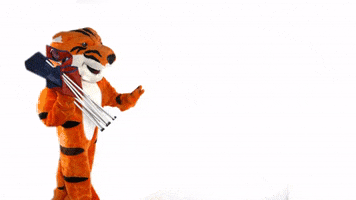 College Mascot GIF by Rochester Institute of Technology
