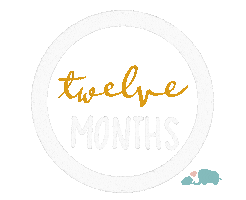 Babies Milestone Sticker by Baby Nest Designs