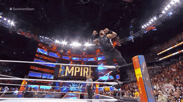 Roman Reigns Reaction GIF by WWE