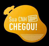 cnh-dirigir-habilitao-fX2MDk02SrIKghNdpj