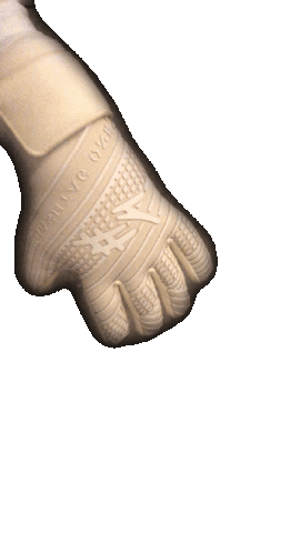 Goalkeeper Gloves Sticker by HashtagOne