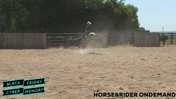HorseandRider sale horse blackfriday cybermonday GIF