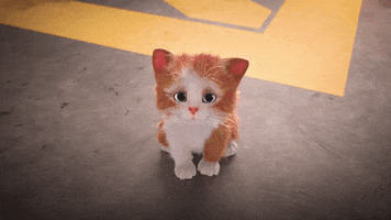 Cat Love GIF by MightyMike