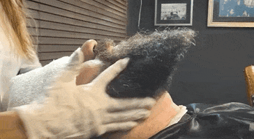 200.gif?cid=fc005b088ba588fdd51be17df861f1dc0ac44bbd89bb1f44&rid=200.gif&ct=g
