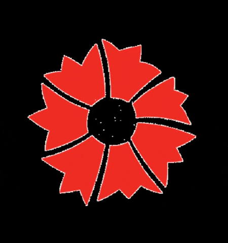 peramuzesi GIF