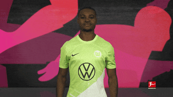 Posing Vfl Wolfsburg GIF by Bundesliga