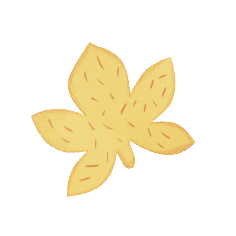 HABA Pro  | Wehrfritz Sticker