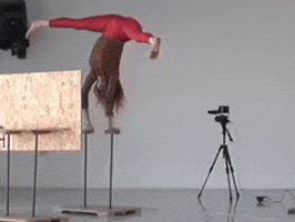 circusiloveyou fail epic handstand faceplant GIF