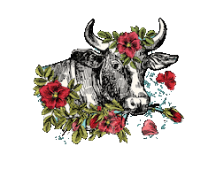 Greece Athens Sticker by Meat N Roses