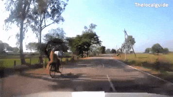 Thelocalguide GIF