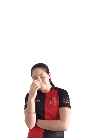 Niterói Rugby Sticker