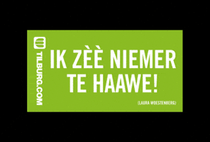 Carnaval Kruikenstad GIF by Tilburg.com