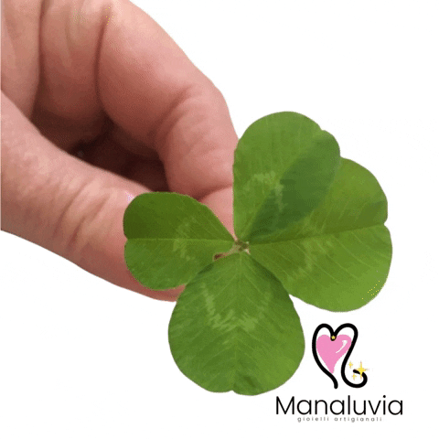 Luck Clover GIF by Manaluvia