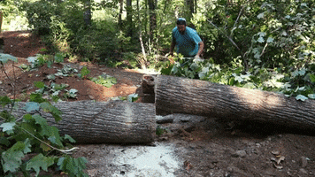 Saw Chainsaw GIF by JC Property Professionals