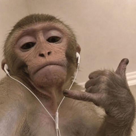 Monkey Metal GIF