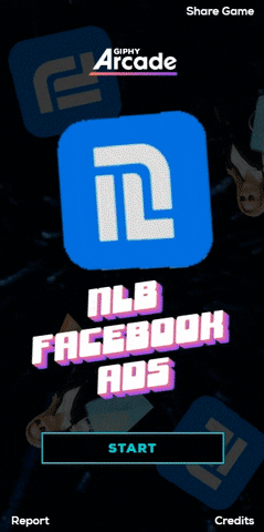 nextlevelbros digital marketing digital agency next level facebook ads GIF