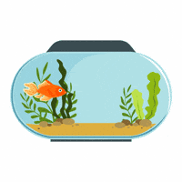 Fish-swimming GIFs - Get the best GIF on GIPHY Fish-swimming GIFs - Get the best GIF on GIPHY