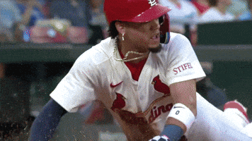 Yelling St Louis Cardinals GIF by MLB