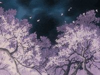 cherry blossom gif  Pesquisa Google  Anime scenery Aesthetic anime Anime  gifts