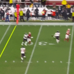 Chicago Bears Football GIF