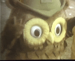 Woodsy Owl Vintage GIF by US National Archives