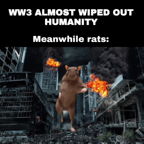 Rat Apocalypse GIF