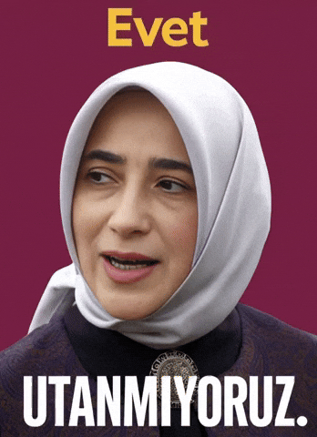 Ak Rte GIF