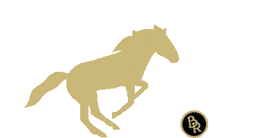 Sport Jumping Sticker by BR Equestrian Equipment