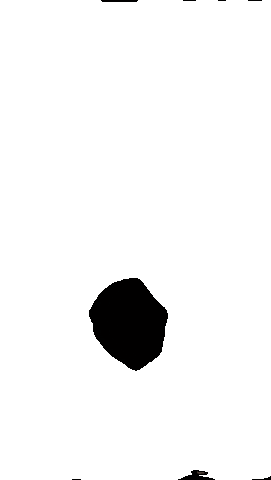 Keeper Koziol Sticker by sgschneifel