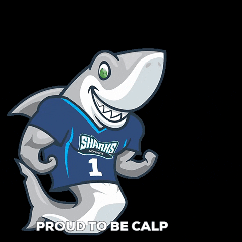 proudobeCALP sharks sharky tiburones calp GIF