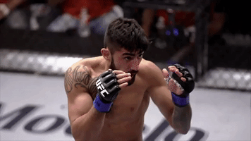 face what GIF by UFC