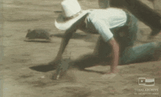 armadillo texas archive GIF by Texas Archive of the Moving Image