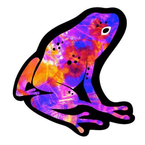Pride Queer Sticker by Amnistia Internacional Mexico