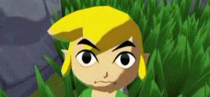 The Legend Of Zelda What GIF by Gaming GIFs