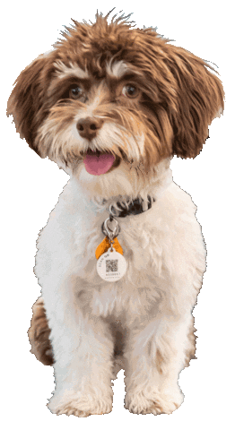 Img Staging Sticker by Interior Marketing Group