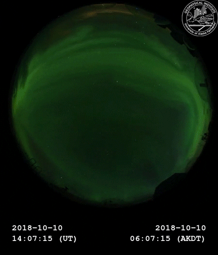 northern lights aurora GIF by University of Alaska Fairbanks