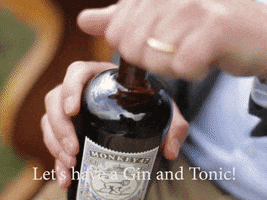 gin and tonic drinking GIF by Monkey 47