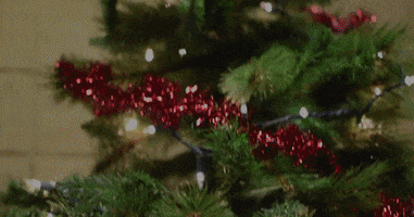 christmas tree GIF by Kane County Cougars