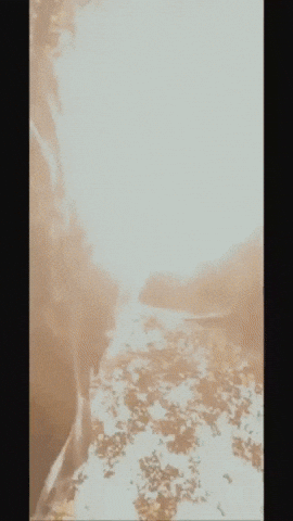 Alenoz GIF