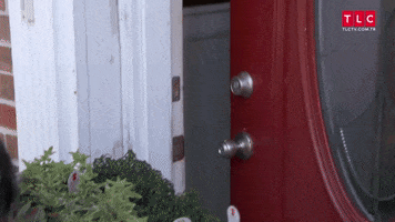 Surprise Doorbell GIF by TLC Turkiye