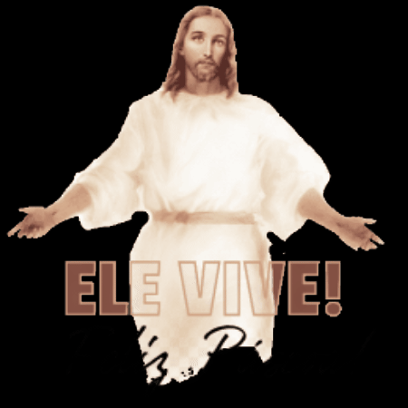 Equipes de Nossa Senhora GIF